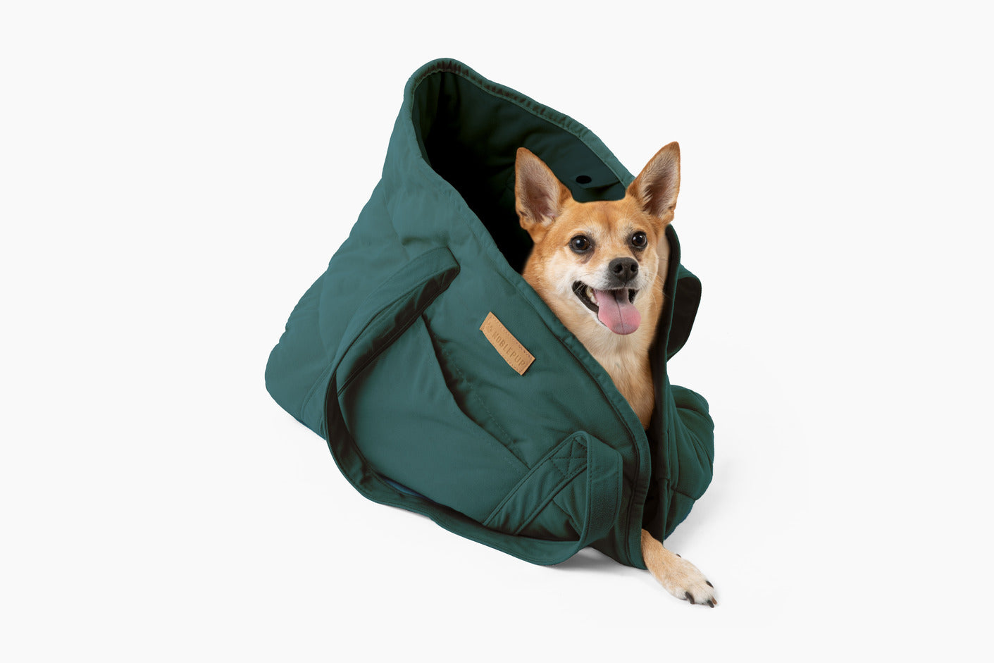 Plush Pup Carrier—Green