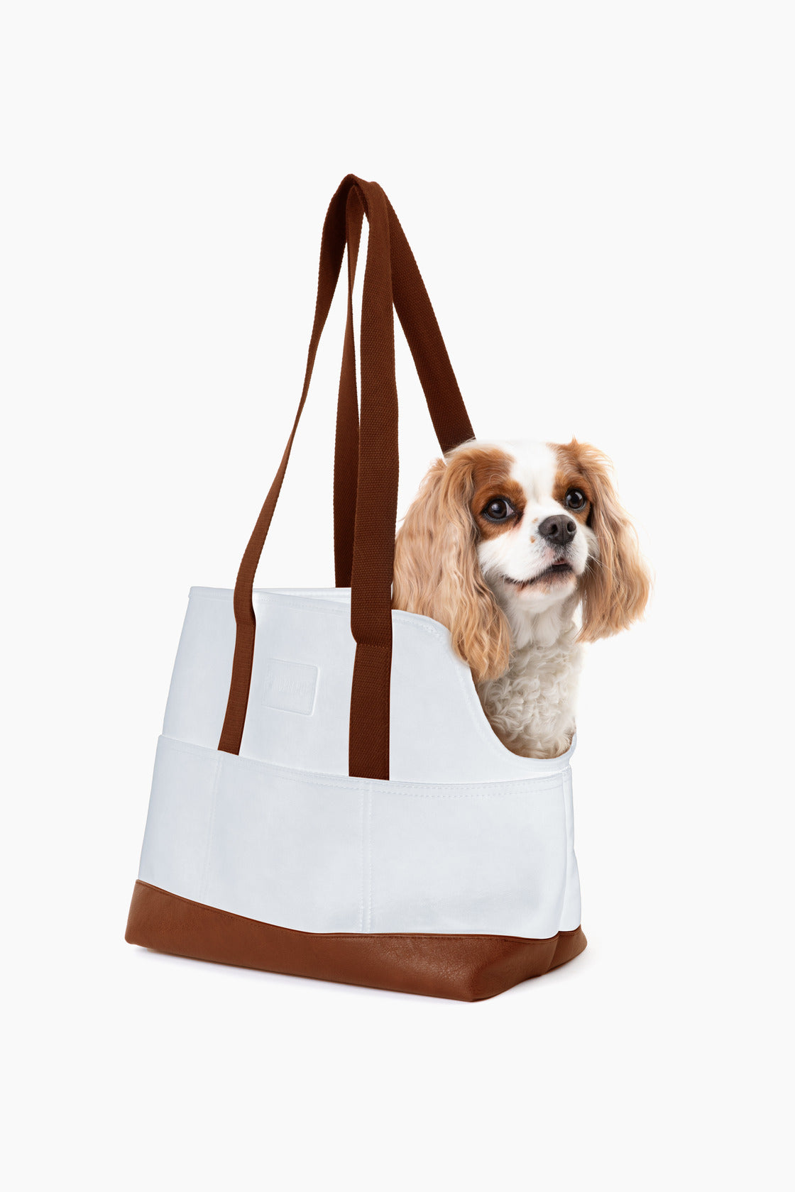 Classic Canine Carrier—White